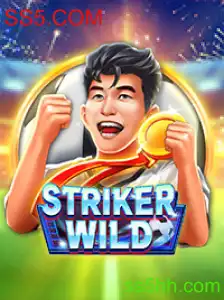 Desbrave as Aventuras de StrikerWILD no SS5.COM
